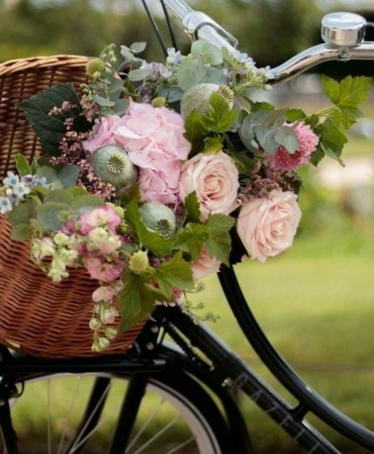Vintage bicycle basket of pink roses